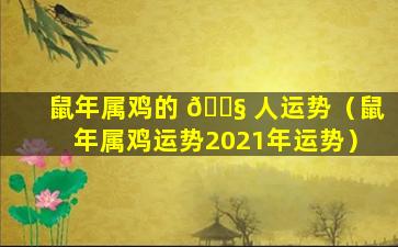 鼠年属鸡的 🐧 人运势（鼠年属鸡运势2021年运势）